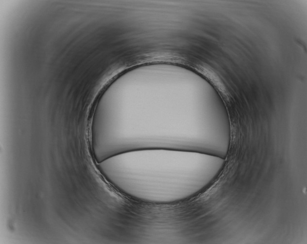 X0000097511043200802220900