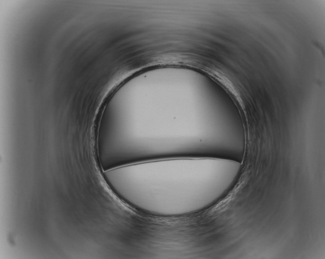 X0000097511045200802220900