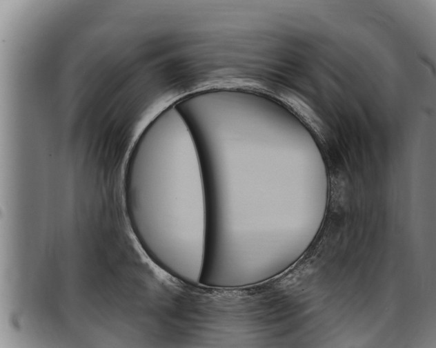 X0000097511046200802220900