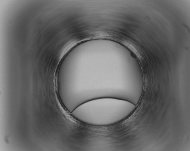 X0000097511047200802220900