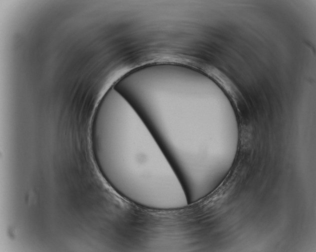 X0000097511048200802220900
