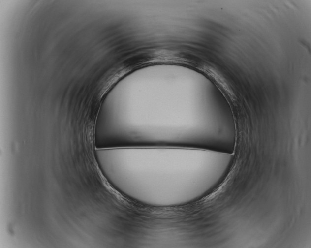 X0000097511049200802220900