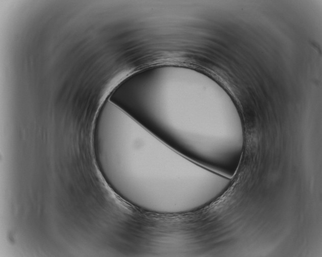 X0000097511050200802220900