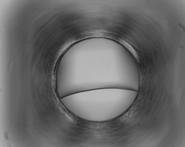 X0000097511051200802220900