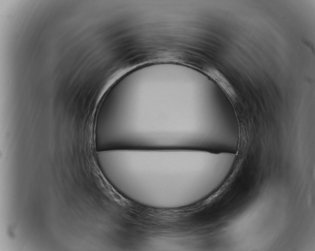 X0000097511052200802220900