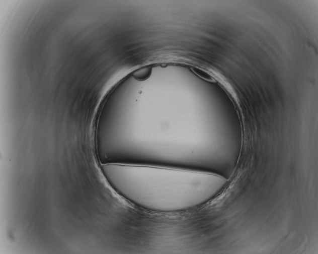 X0000097511053200802220900