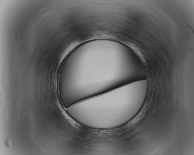 X0000097511054200802220900