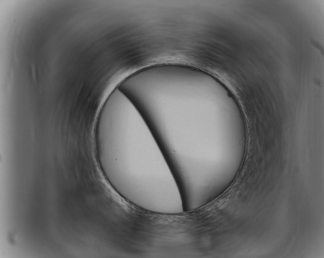 X0000097511056200802220901