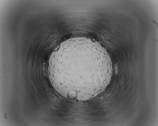 X0000097511059200802220900