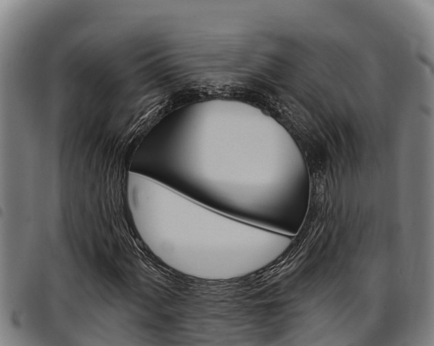 X0000097511060200802220900
