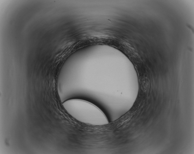 X0000097511061200802220900