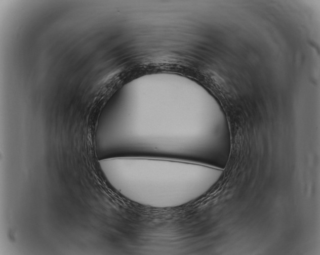 X0000097511062200802220900