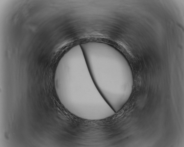 X0000097511063200802220900
