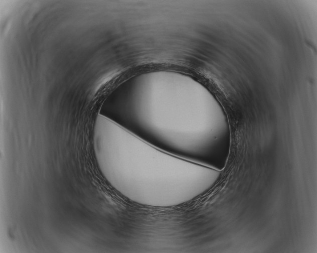 X0000097511064200802220900