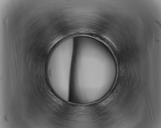 X0000097511065200802220900