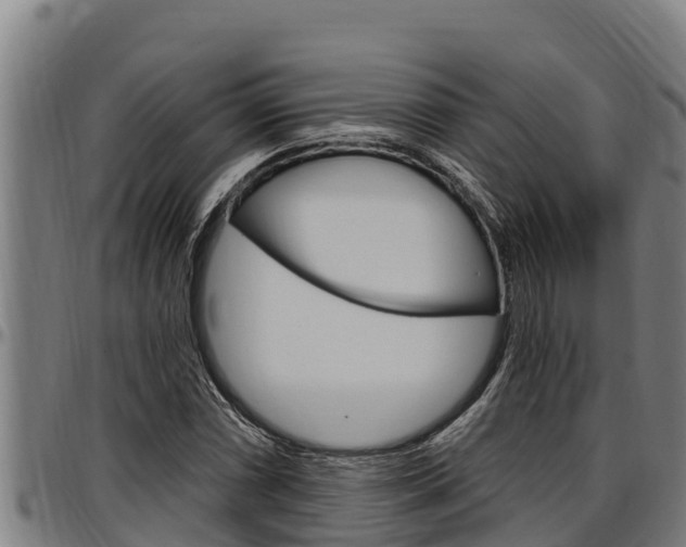 X0000097511066200802220900