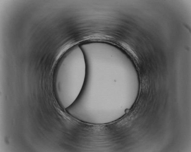 X0000097511067200802220900
