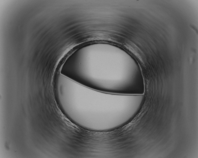 X0000097511068200802220900