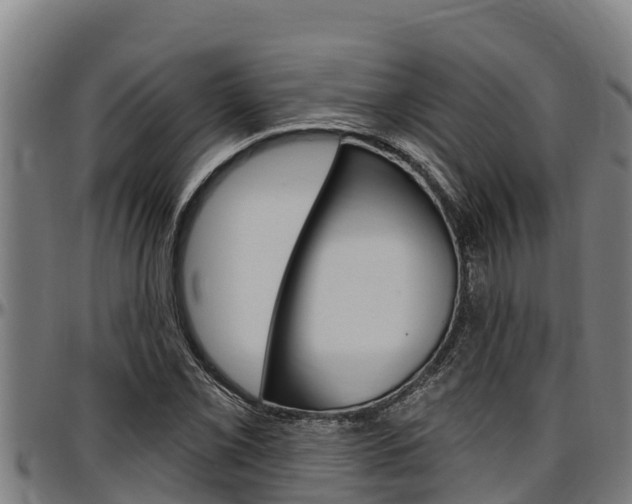X0000097511069200802220900