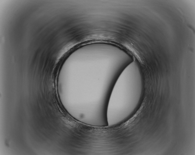 X0000097511070200802220859