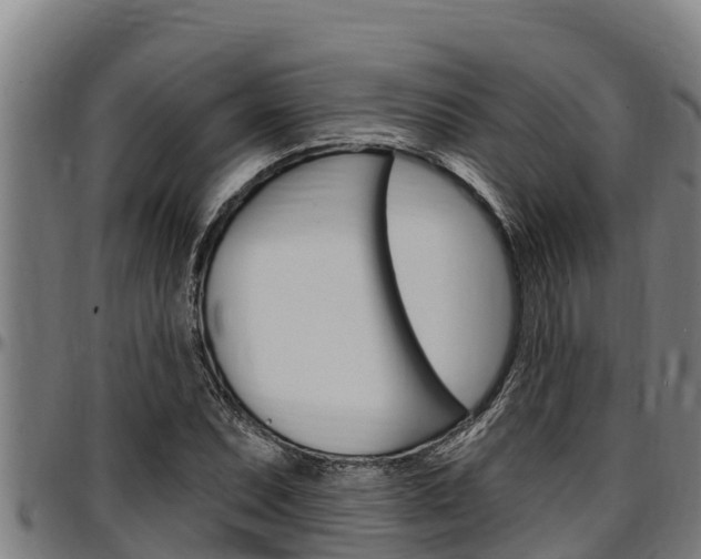X0000097511071200802220859