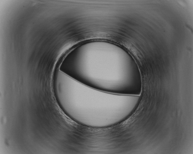 X0000097511072200802220859
