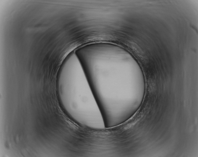 X0000097511073200802220859