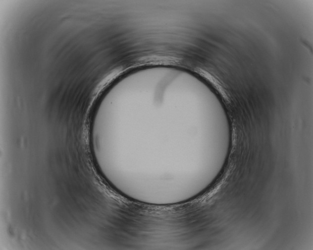 X0000097511074200802220859