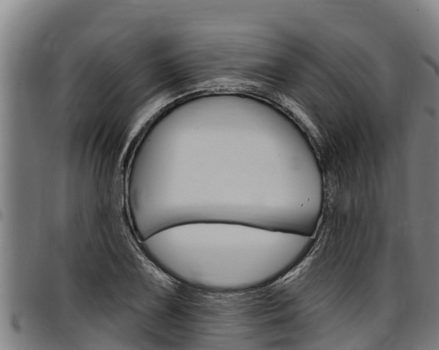 X0000097511075200802220859