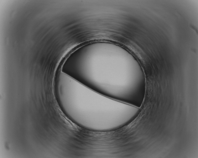X0000097511076200802220859