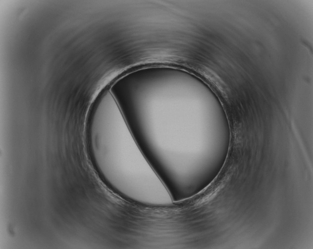 X0000097511077200802220859