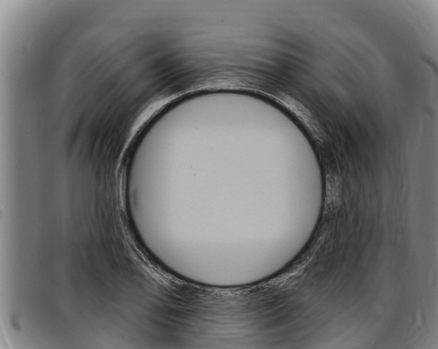 X0000097511078200802220859