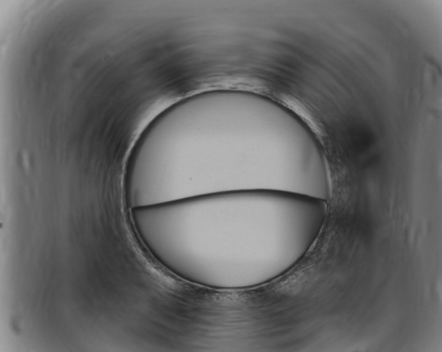 X0000097511079200802220859