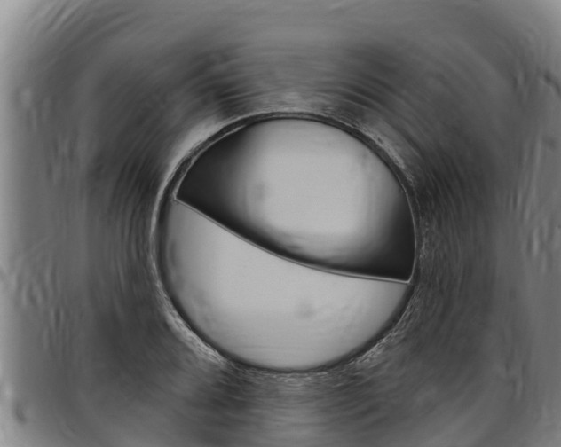 X0000097511080200802220859