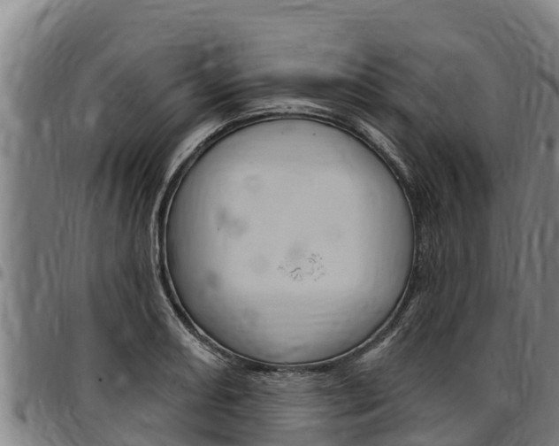 X0000097511082200802220859