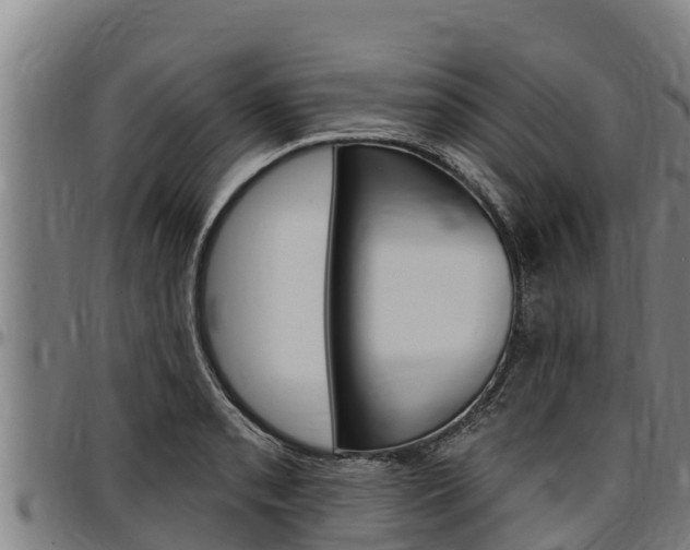 X0000097511085200802220859