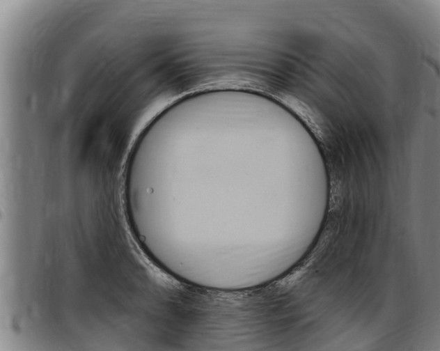 X0000097511086200802220859