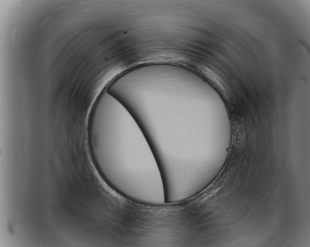 X0000097511087200802220859