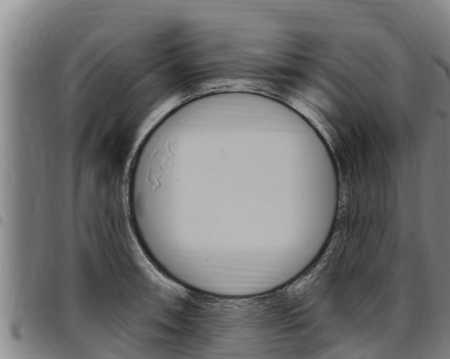 X0000097511090200802220859