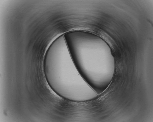 X0000097511092200802220859