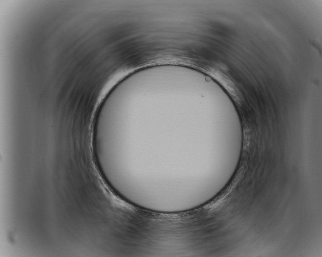 X0000097511094200802220859