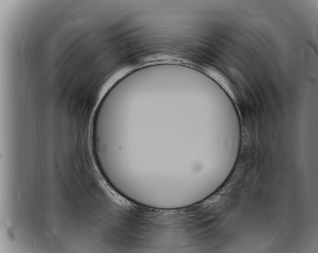 X0000097511098200802220859