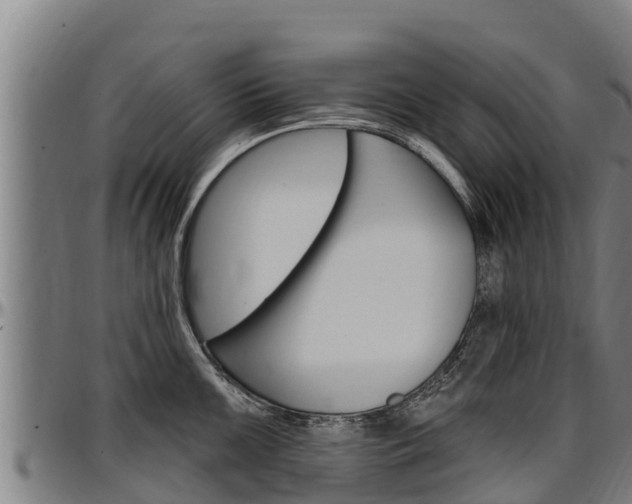 X0000097511099200802220859