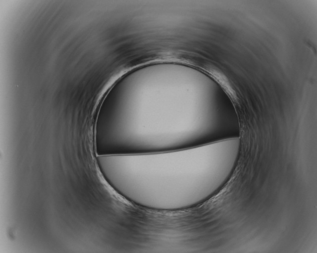 X0000097511100200802220859