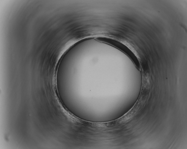 X0000097511101200802220859