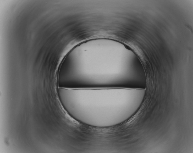 X0000097511102200802220859