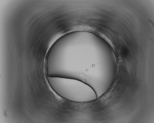 X0000097511103200802220859