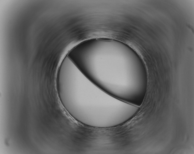 X0000097511104200802220859
