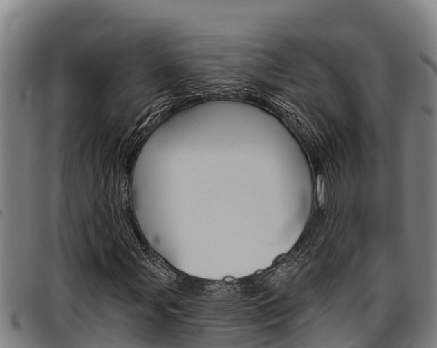 X0000097511107200802220858
