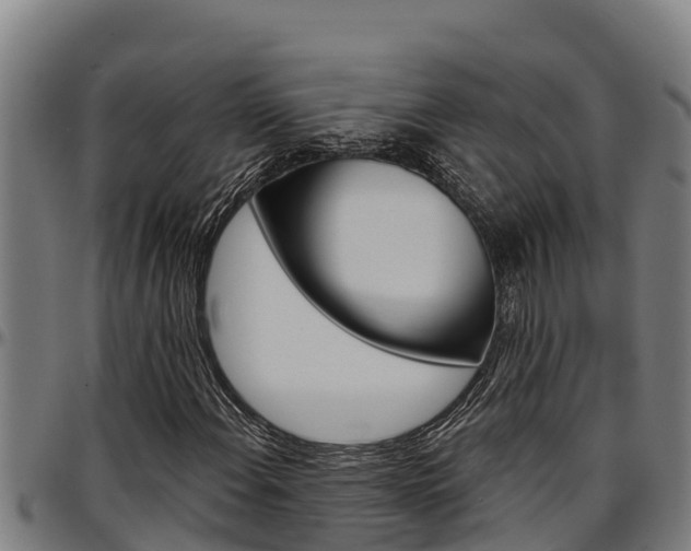 X0000097511108200802220858